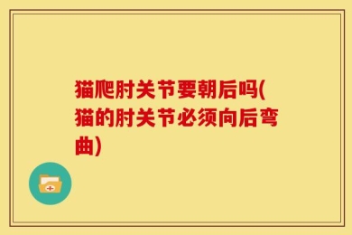 猫爬肘关节要朝后吗(猫的肘关节必须向后弯曲)