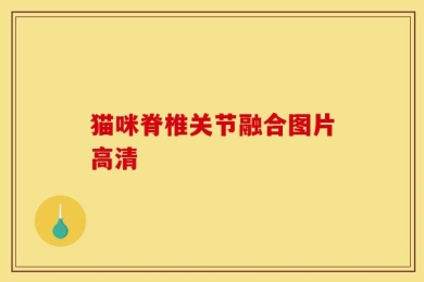 猫咪脊椎关节融合图片高清