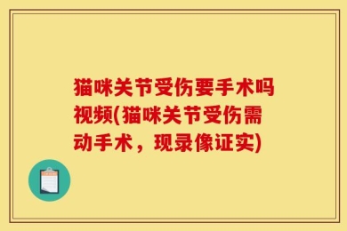 猫咪关节受伤要手术吗视频(猫咪关节受伤需动手术，现录像证实)