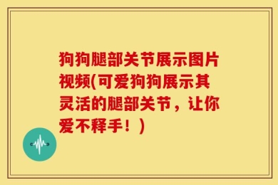 狗狗腿部关节展示图片视频(可爱狗狗展示其灵活的腿部关节，让你爱不释手！)