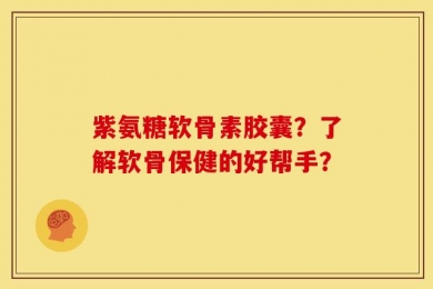 紫氨糖软骨素胶囊？了解软骨保健的好帮手？