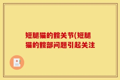 短腿猫的髋关节(短腿猫的髋部问题引起关注