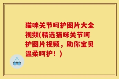 猫咪关节呵护图片大全视频(精选猫咪关节呵护图片视频，助你宝贝温柔呵护！)