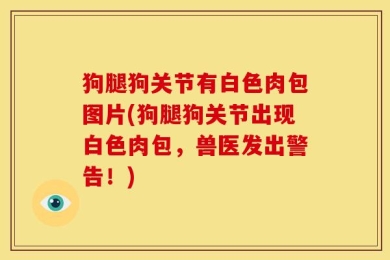 狗腿狗关节有白色肉包图片(狗腿狗关节出现白色肉包，兽医发出警告！)