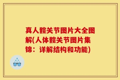 真人髋关节图片大全图解(人体髋关节图片集锦：详解结构和功能)