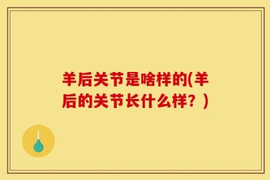 羊后关节是啥样的(羊后的关节长什么样？)