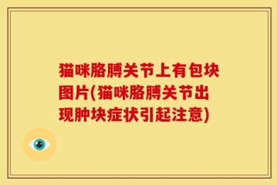 猫咪胳膊关节上有包块图片(猫咪胳膊关节出现肿块症状引起注意)