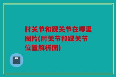 肘关节和踝关节在哪里图片(肘关节和踝关节位置解析图)