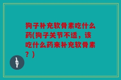 狗子补充软骨素吃什么药(狗子关节不适，该吃什么药来补充软骨素？)