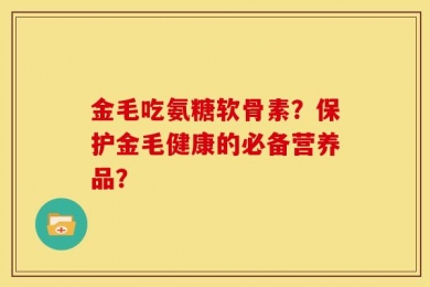 金毛吃氨糖软骨素？保护金毛健康的必备营养品？