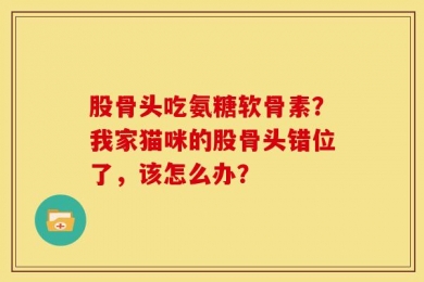 股骨头吃氨糖软骨素？我家猫咪的股骨头错位了，该怎么办？