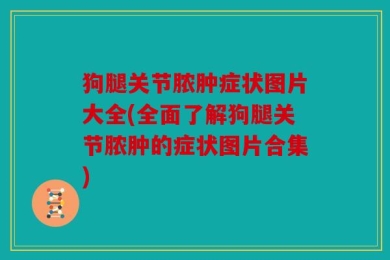 狗腿关节脓肿症状图片大全(全面了解狗腿关节脓肿的症状图片合集)
