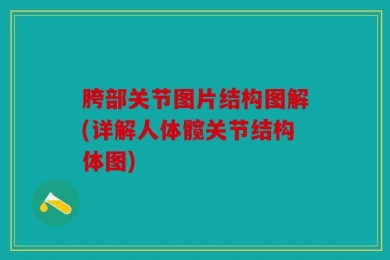 胯部关节图片结构图解(详解人体髋关节结构体图)
