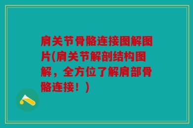肩关节骨骼连接图解图片(肩关节解剖结构图解，全方位了解肩部骨骼连接！)