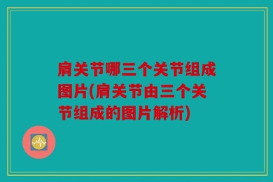 肩关节哪三个关节组成图片(肩关节由三个关节组成的图片解析)