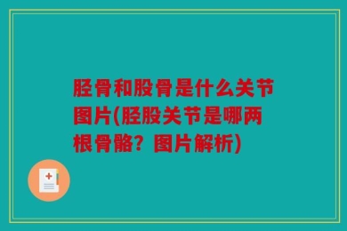 胫骨和股骨是什么关节图片(胫股关节是哪两根骨骼？图片解析)