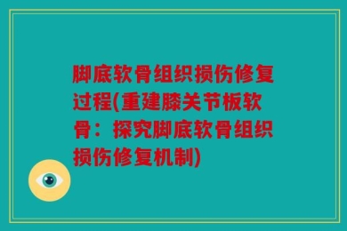 脚底软骨组织损伤修复过程(重建膝关节板软骨：探究脚底软骨组织损伤修复机制)