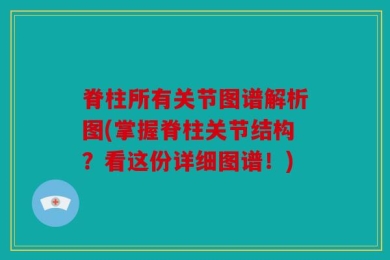 脊柱所有关节图谱解析图(掌握脊柱关节结构？看这份详细图谱！)