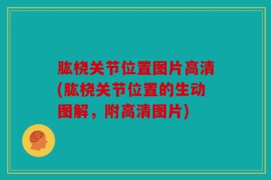 肱桡关节位置图片高清(肱桡关节位置的生动图解，附高清图片)
