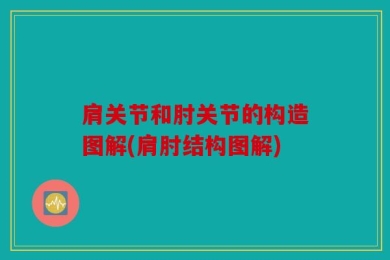 肩关节和肘关节的构造图解(肩肘结构图解)