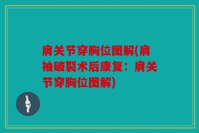 肩关节穿胸位图解(肩袖破裂术后康复：肩关节穿胸位图解)