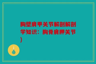胸壁肩甲关节解剖解剖学知识：胸骨肩胛关节)