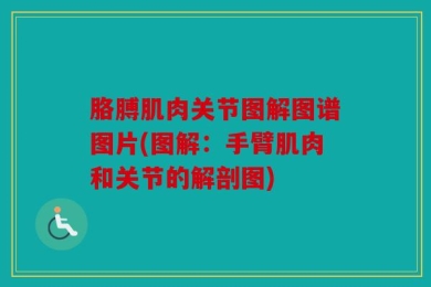 胳膊肌肉关节图解图谱图片(图解：手臂肌肉和关节的解剖图)