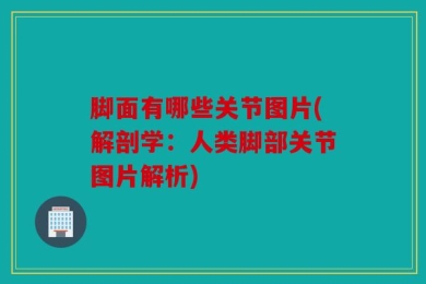 脚面有哪些关节图片(解剖学：人类脚部关节图片解析)