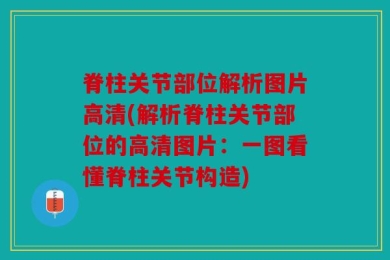 脊柱关节部位解析图片高清(解析脊柱关节部位的高清图片：一图看懂脊柱关节构造)