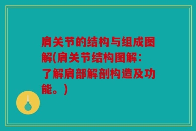 肩关节的结构与组成图解(肩关节结构图解：了解肩部解剖构造及功能。)