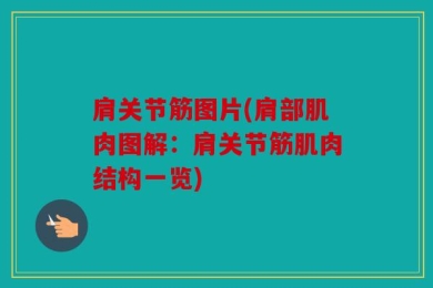 肩关节筋图片(肩部肌肉图解：肩关节筋肌肉结构一览)