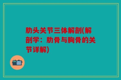 肋头关节三体解剖(解剖学：肋骨与胸骨的关节详解)