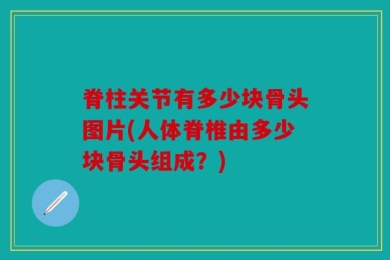 脊柱关节有多少块骨头图片(人体脊椎由多少块骨头组成？)