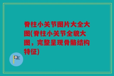 脊柱小关节图片大全大图(脊柱小关节全貌大图，完整呈现骨骼结构特征)