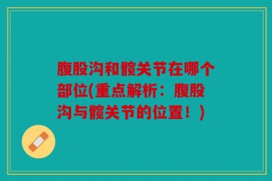 腹股沟和髋关节在哪个部位(重点解析：腹股沟与髋关节的位置！)