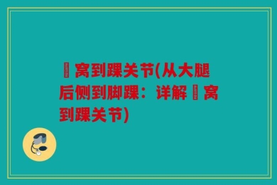 腘窝到踝关节(从大腿后侧到脚踝：详解腘窝到踝关节)