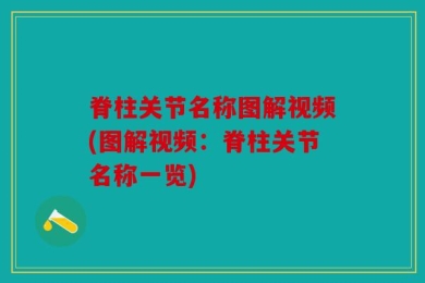 脊柱关节名称图解视频(图解视频：脊柱关节名称一览)