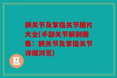 腕关节及掌指关节图片大全(手部关节解剖图集：腕关节及掌指关节详细浏览)