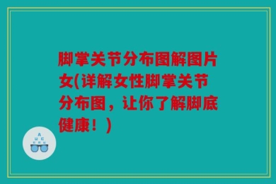 脚掌关节分布图解图片女(详解女性脚掌关节分布图，让你了解脚底健康！)