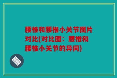 腰椎和腰椎小关节图片对比(对比图：腰椎和腰椎小关节的异同)