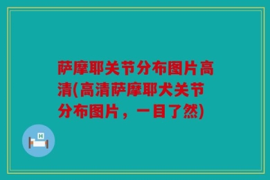 萨摩耶关节分布图片高清(高清萨摩耶犬关节分布图片，一目了然)