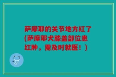 萨摩耶的关节地方红了(萨摩耶犬膝盖部位患红肿，需及时就医！)