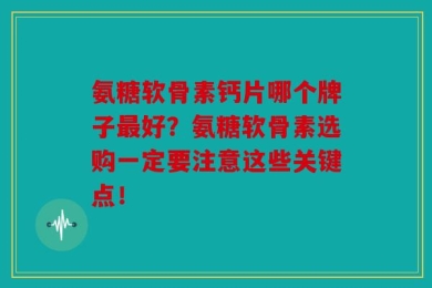氨糖软骨素钙片哪个牌子最好？氨糖软骨素选购一定要注意这些关键点！