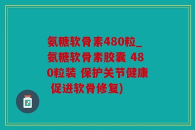 氨糖软骨素480粒_氨糖软骨素胶囊 480粒装 保护关节健康 促进软骨修复)