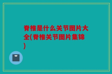 脊椎是什么关节图片大全(脊椎关节图片集锦)