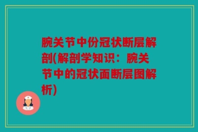 腕关节中份冠状断层解剖(解剖学知识：腕关节中的冠状面断层图解析)
