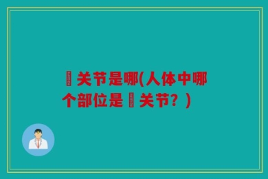 臗关节是哪(人体中哪个部位是臗关节？)