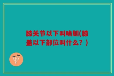 膝关节以下叫啥腿(膝盖以下部位叫什么？)