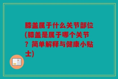 膝盖属于什么关节部位(膝盖是属于哪个关节？简单解释与健康小贴士)