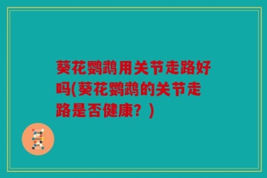 葵花鹦鹉用关节走路好吗(葵花鹦鹉的关节走路是否健康？)